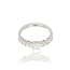 Diamanten Ring