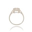 Diamanten Ring