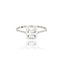 Diamanten Ring