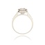 Diamanten Ring