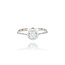 Diamanten Ring