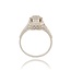 Diamanten Ring