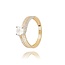 14 Karaat Gouden ring