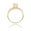 14 Karaat Gouden ring