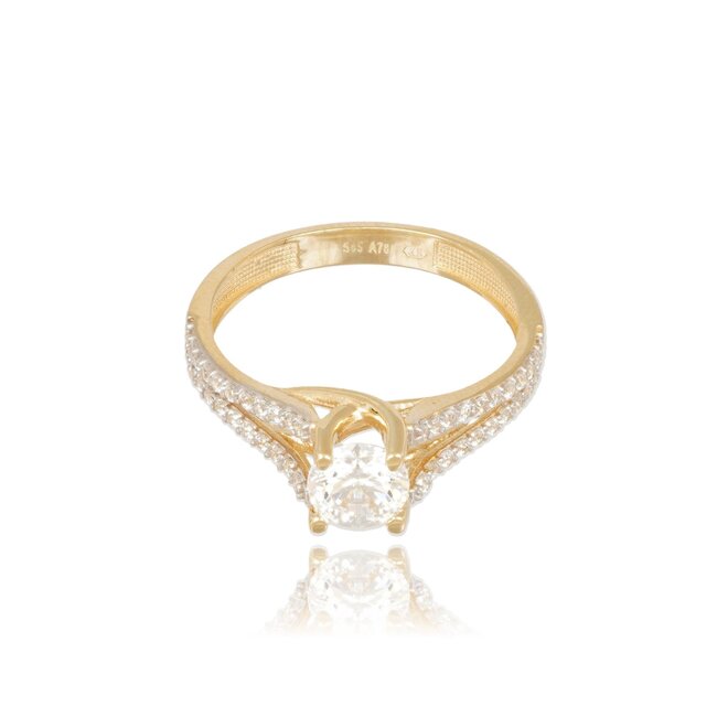 Elegante Dubbele Pavé Ring met Schitterende Middensteen