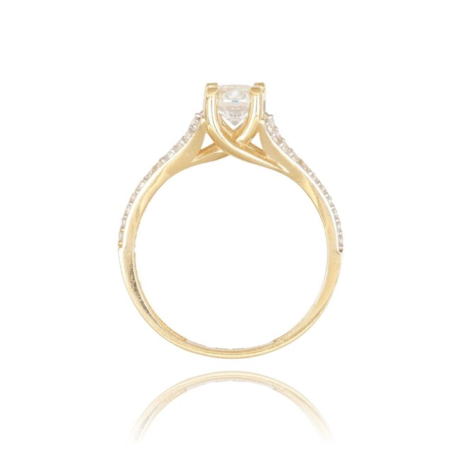 Elegante Dubbele Pavé Ring met Schitterende Middensteen