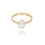 14 Karaat Gouden ring