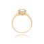 14 Karaat Gouden ring