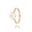 14 Karaat Gouden ring