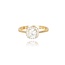 14 Karaat Gouden ring
