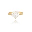 14 Karaat Gouden ring