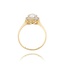 14 Karaat Gouden ring