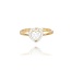 14 Karaat Gouden ring