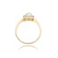 14 Karaat Gouden ring