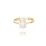 14 Karaat Gouden ring