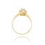14 Karaat Gouden ring