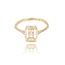 14 Karaat Gouden ring