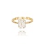 14 Karaat Gouden ring