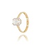 14 Karaat Gouden ring