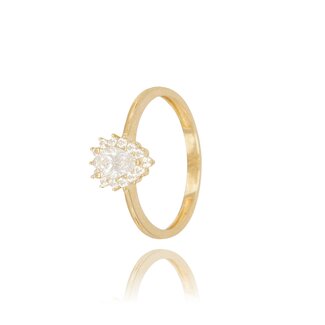 14 Karaat Gouden ring