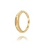 14 Karaat Gouden ring