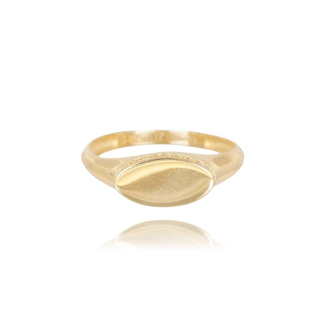 Elegante 14 Karaat Geelgouden Ovale Zegelring