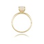 Diamanten Ring