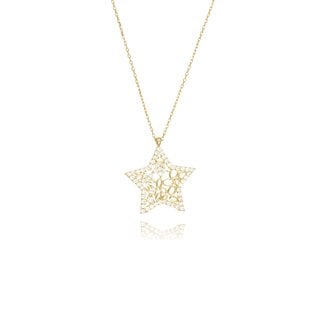 Ster Hanger met Zirkonia Collier