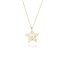 Ster Hanger met Zirkonia Collier
