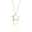 Ster Collier met Zirkonia