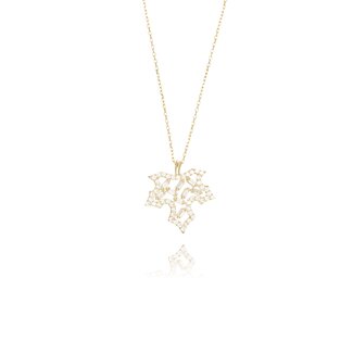 Sterhanger Collier met Zirkonia