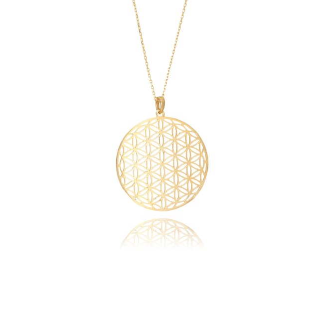 14 krt gouden collier