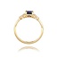 Diamanten Ring