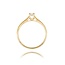 Diamanten Ring