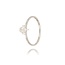 Diamanten Ring