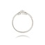 Diamanten Ring