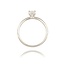 Diamanten Ring