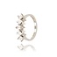 Diamanten Ring