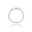Diamanten Ring
