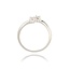 Diamanten Ring