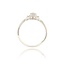 Diamanten Ring
