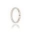 Diamanten Ring