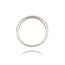 Diamanten Ring