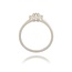 Diamanten Ring