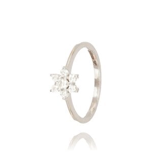 Witgouden Bloem Diamanten Ring