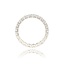 Diamanten Ring