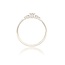 Diamanten Ring