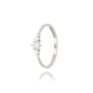 Witgouden Ring met Centrale Diamant
