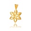 22 karaat hanger