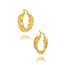 Goldmine 22 karaat gouden Oorbellen